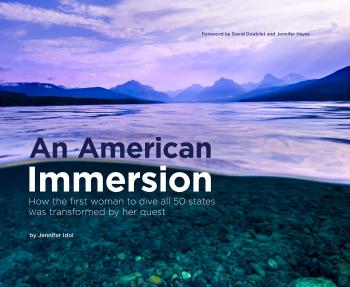 An American Immersion book cover