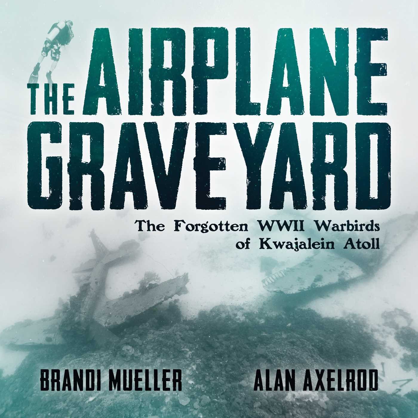 The Airplane Graveyard book cover