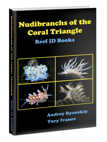 Nudibranchs of the Coral Triangle book cover