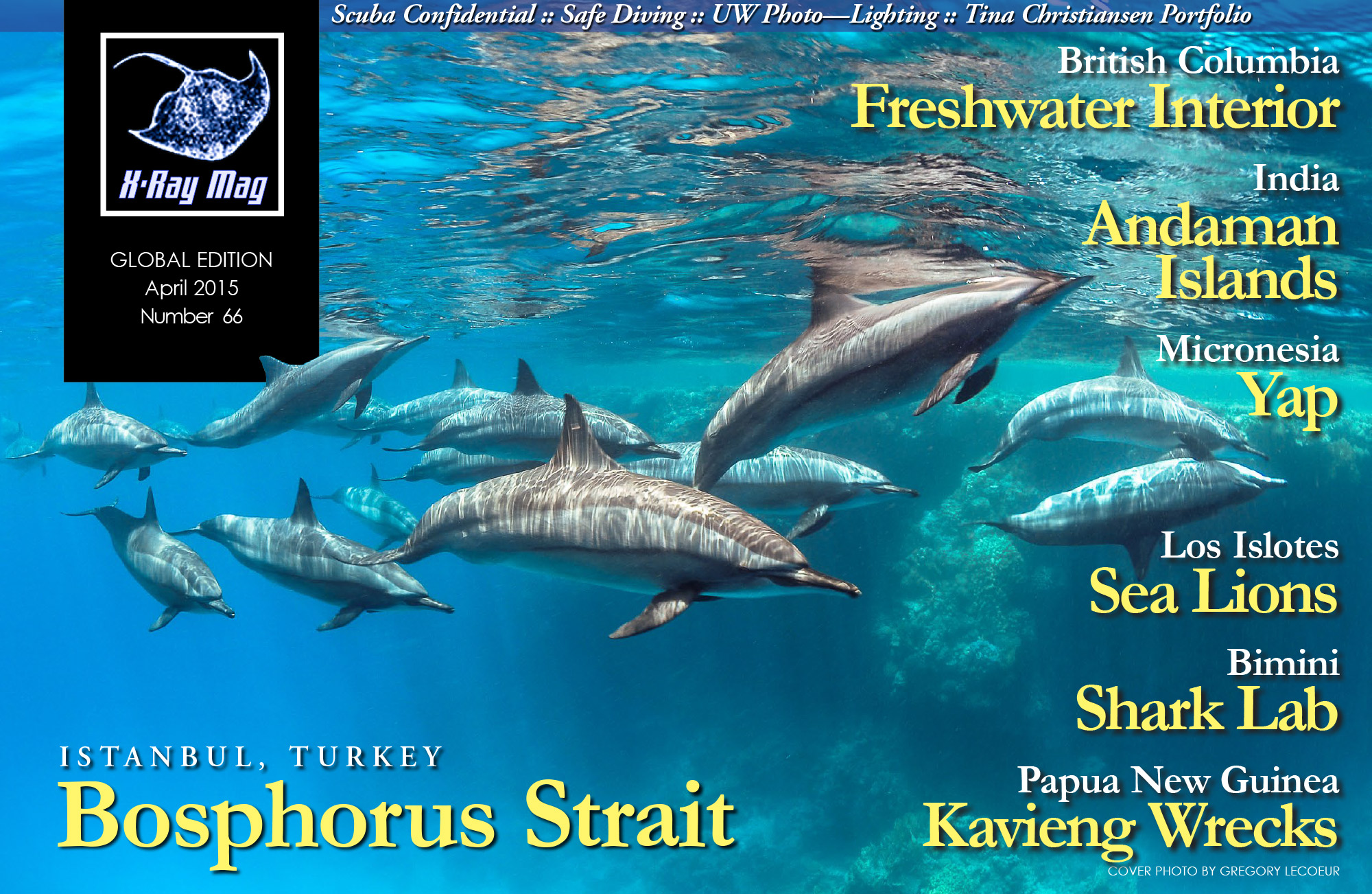 Cover image issue 66   Spinner Dolphins, Red Sea, Egypt