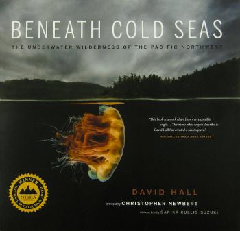 Beneath Cold Seas, by David Hall