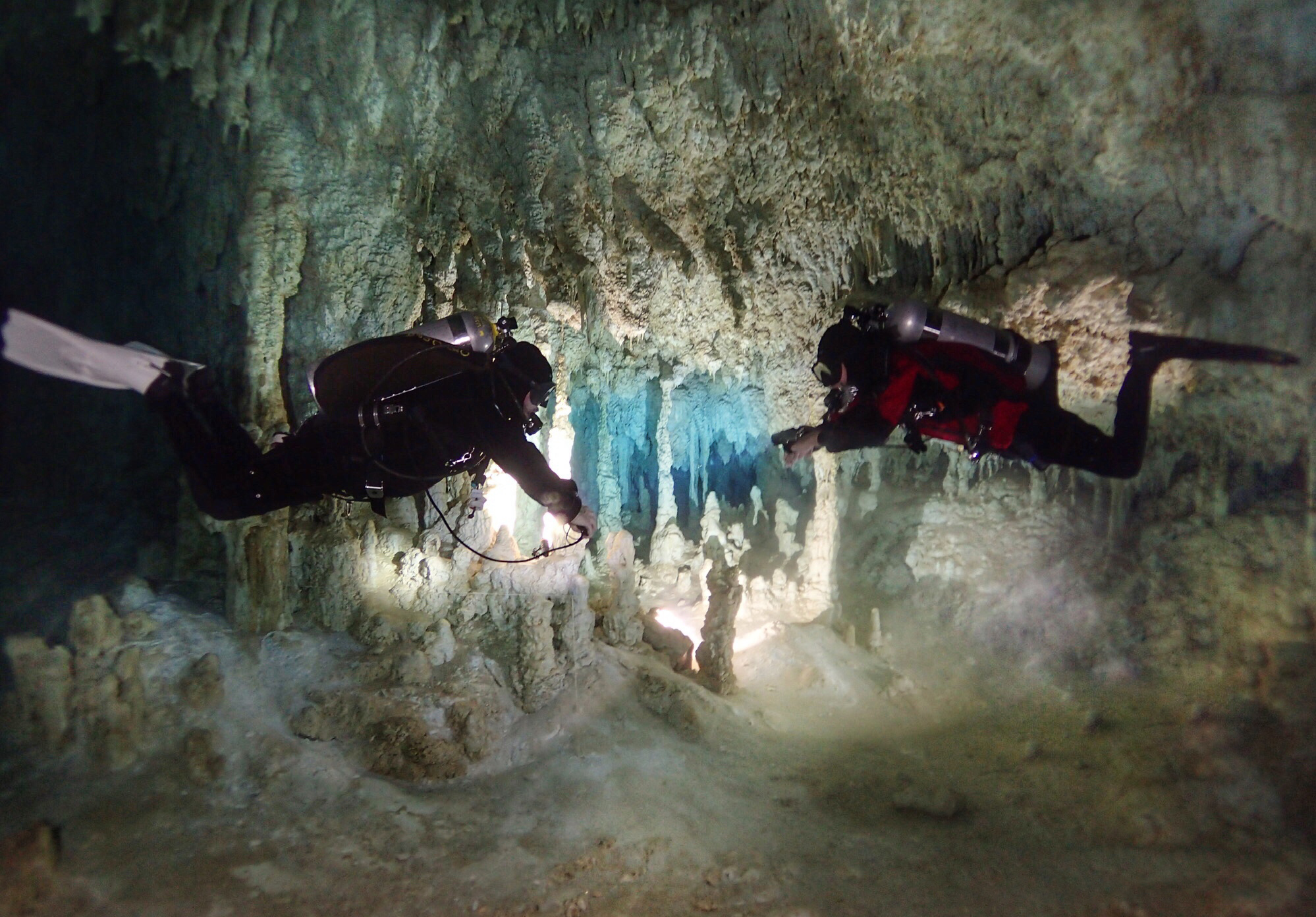 Cave divers in Cenote Concha. Photo by Daniel Millikovsky