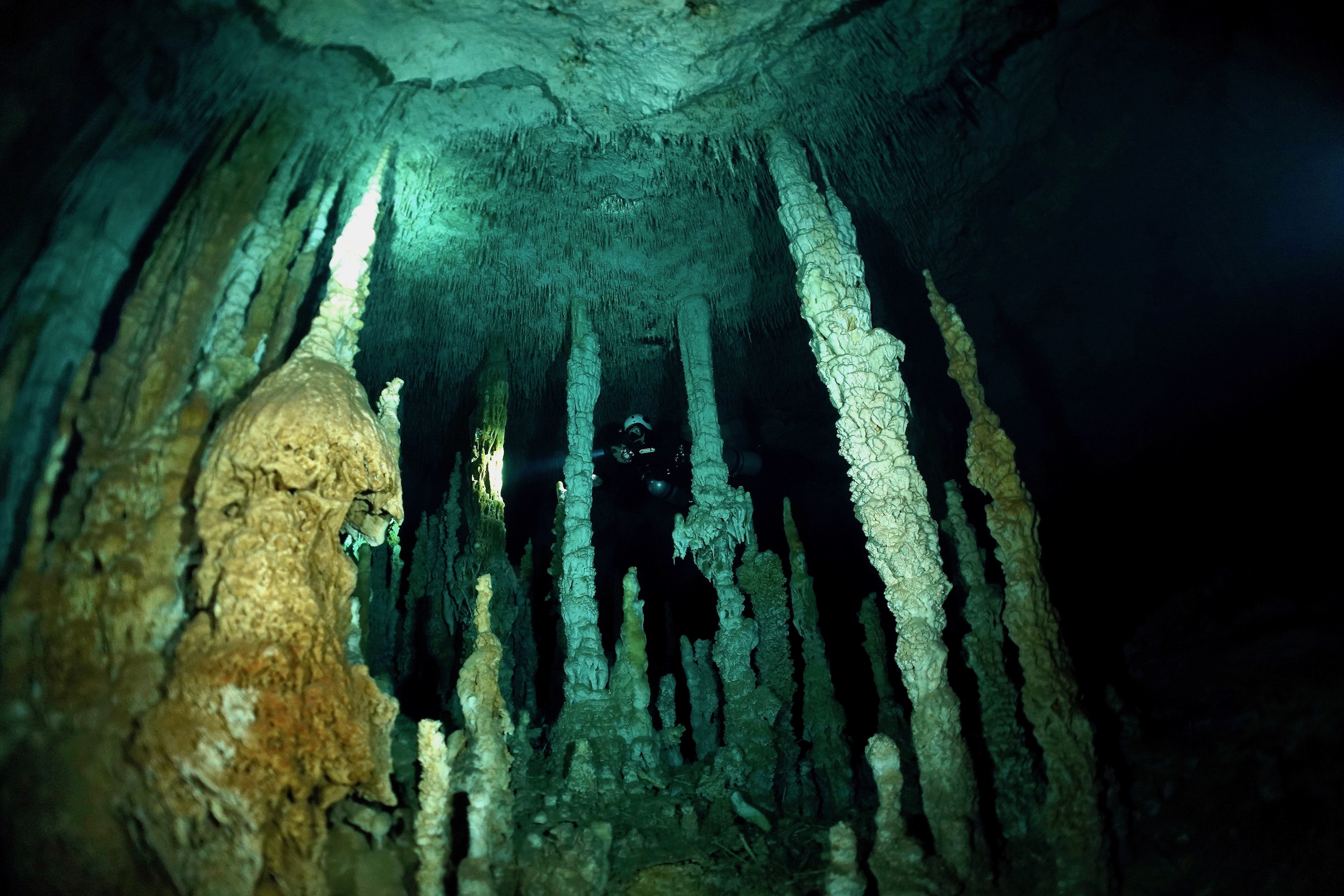 Diver among pillars in Cenote Zacil-Ha. Photo by Pierre Constant