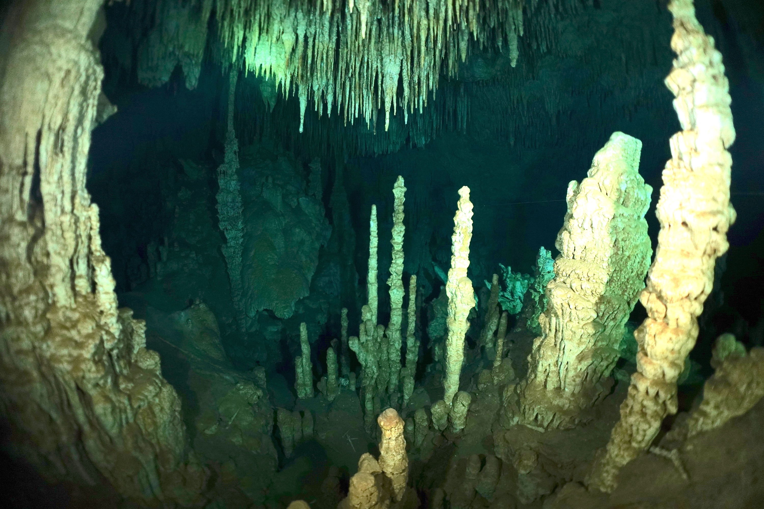 Stalagmites and stalactites in Cenote Zacil-Ha. Photo by Pierre Constant
