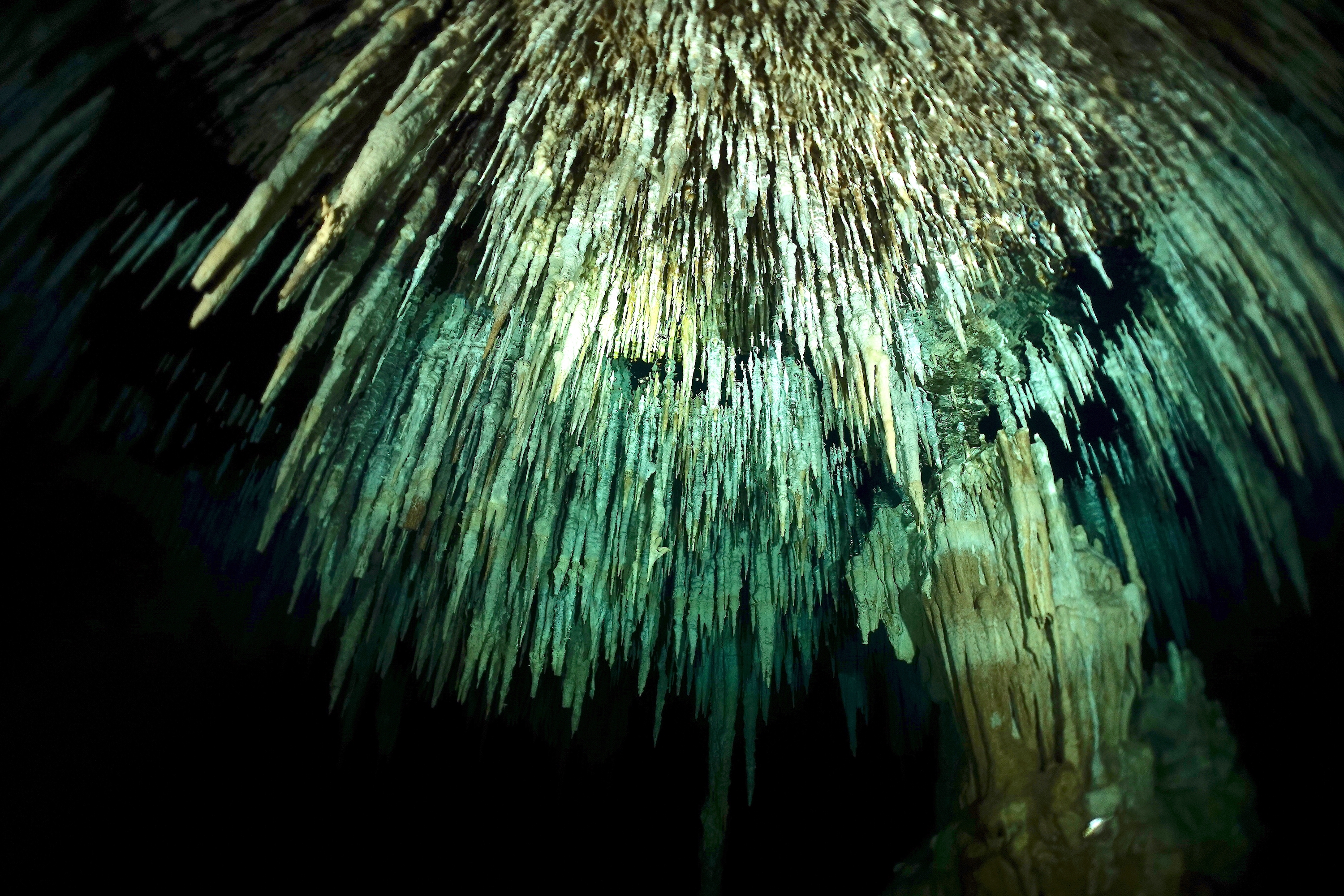Shower of stalactites and a pillar in Dreamgate cenote. Photo by Pierre Constant