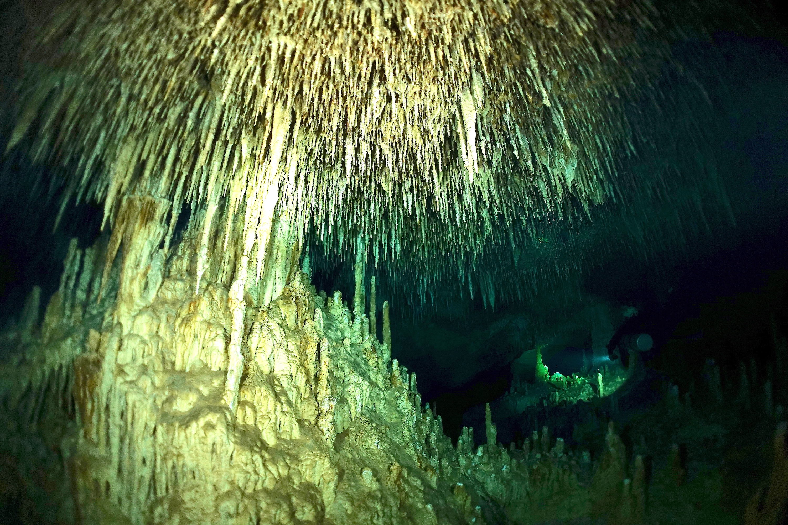 Stalactites descend like fireworks in the tunnel of Cenote Hatztun Aktun. Photo by Pierre Constant