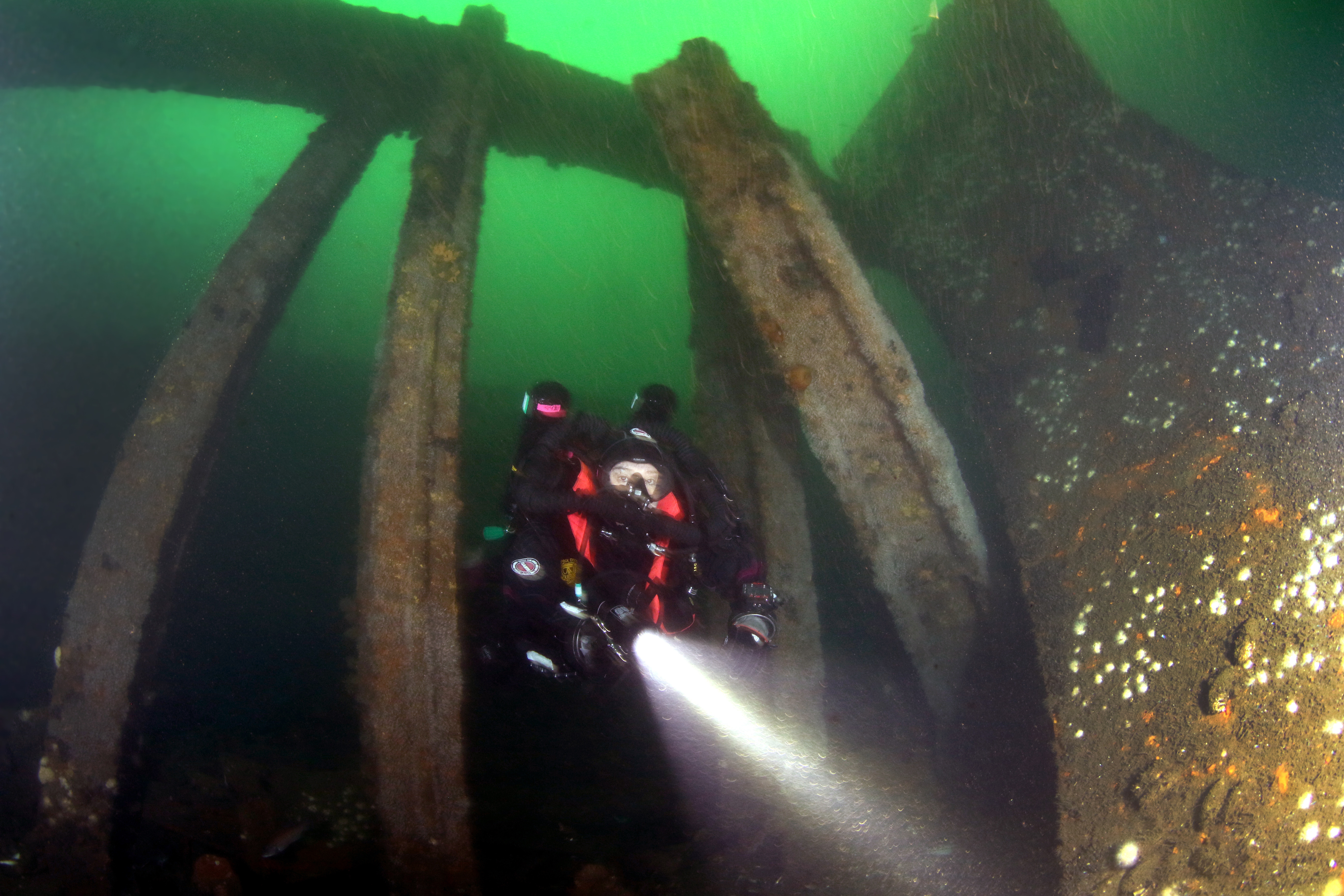 Diver on wreck, New Jersey, USA. Photo by Michael Rothschild