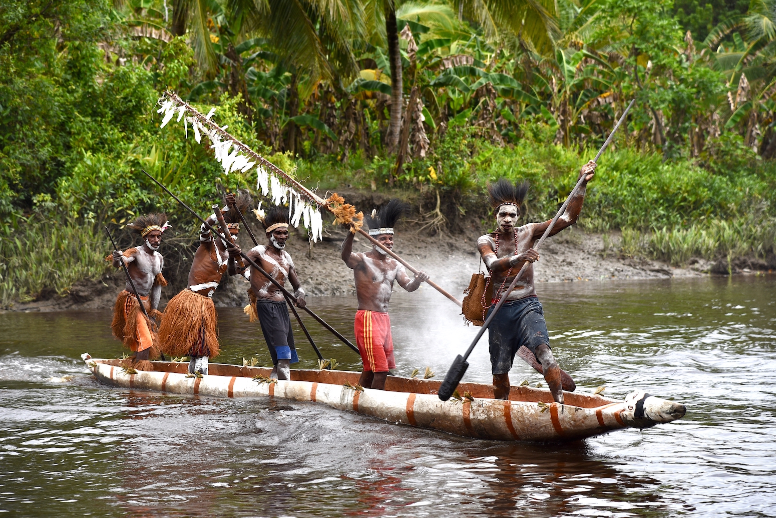 Asmat warriors in a dugout canoe at the village of Omanasep. Photo by Pierre Constant