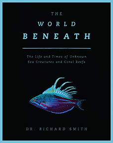 World Beneath the Waves, by Dr Richard Smith