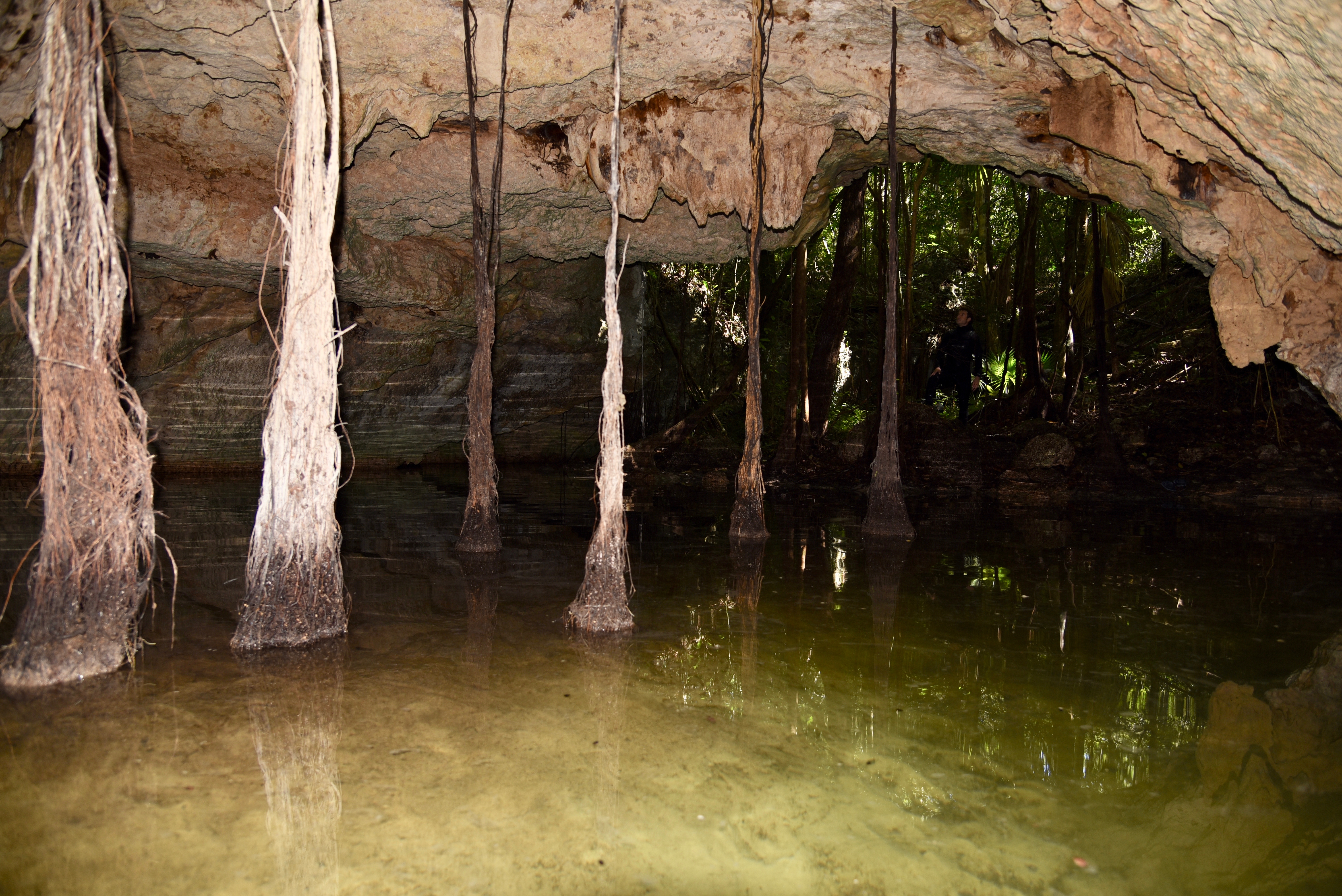 Arch entrance of String of Pearls cenote. Photo by Pierre Constant