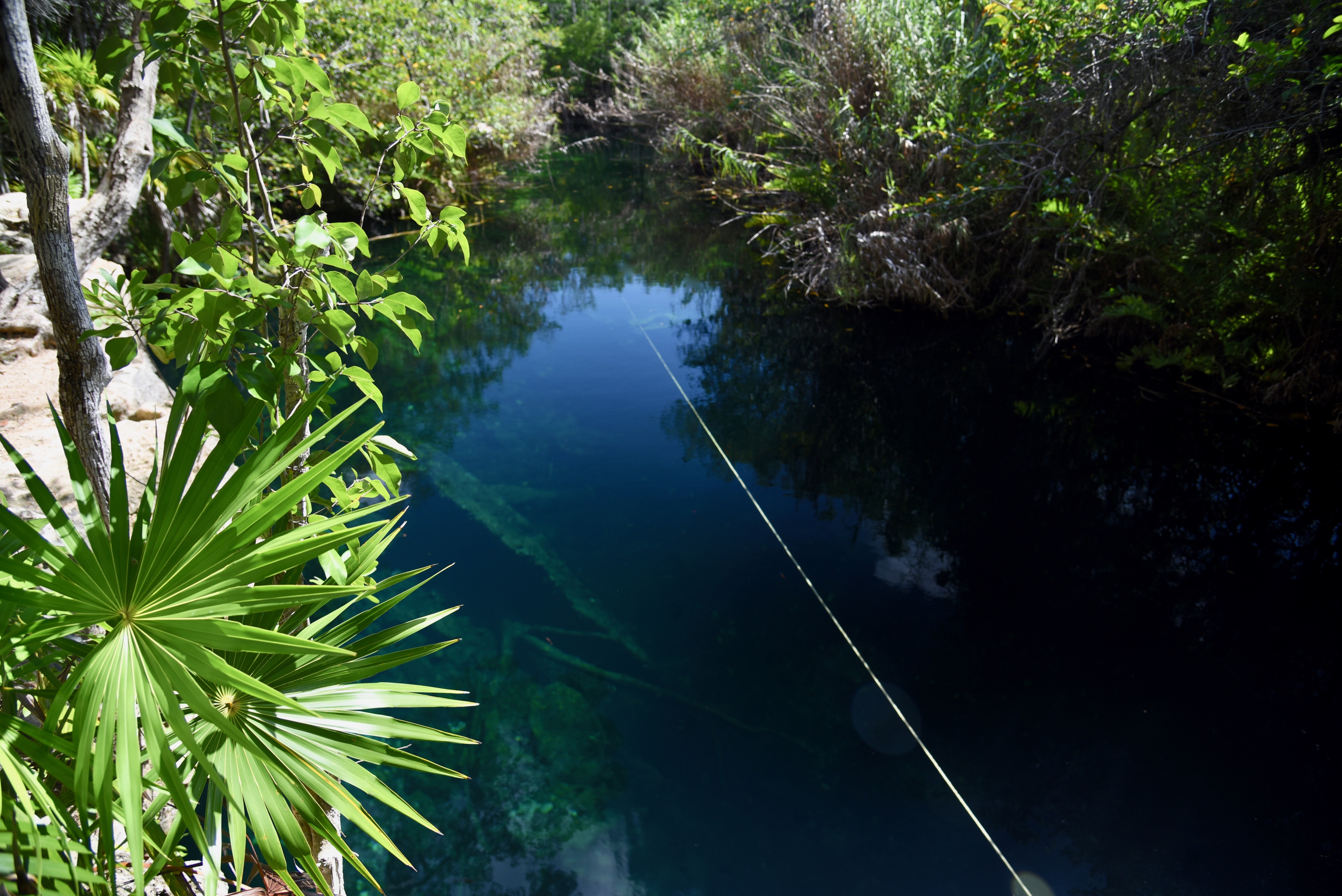 Cenote Mayan Blue or Escondido. Photo by Pierre Constant