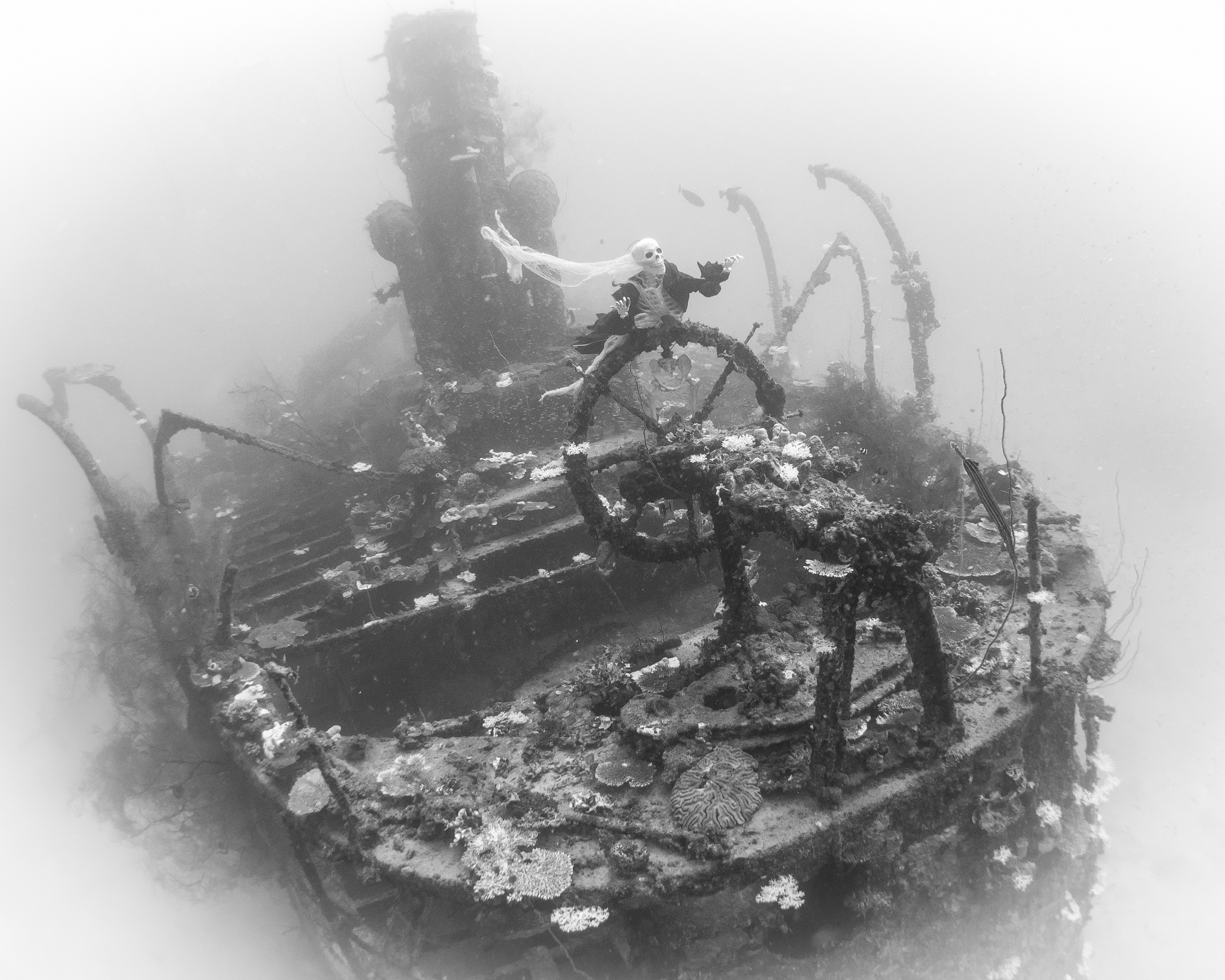 Mr Bones on Palawan wreck in Kwajalein Atoll of the Marshall Islands. Photo by Brandi Mueller