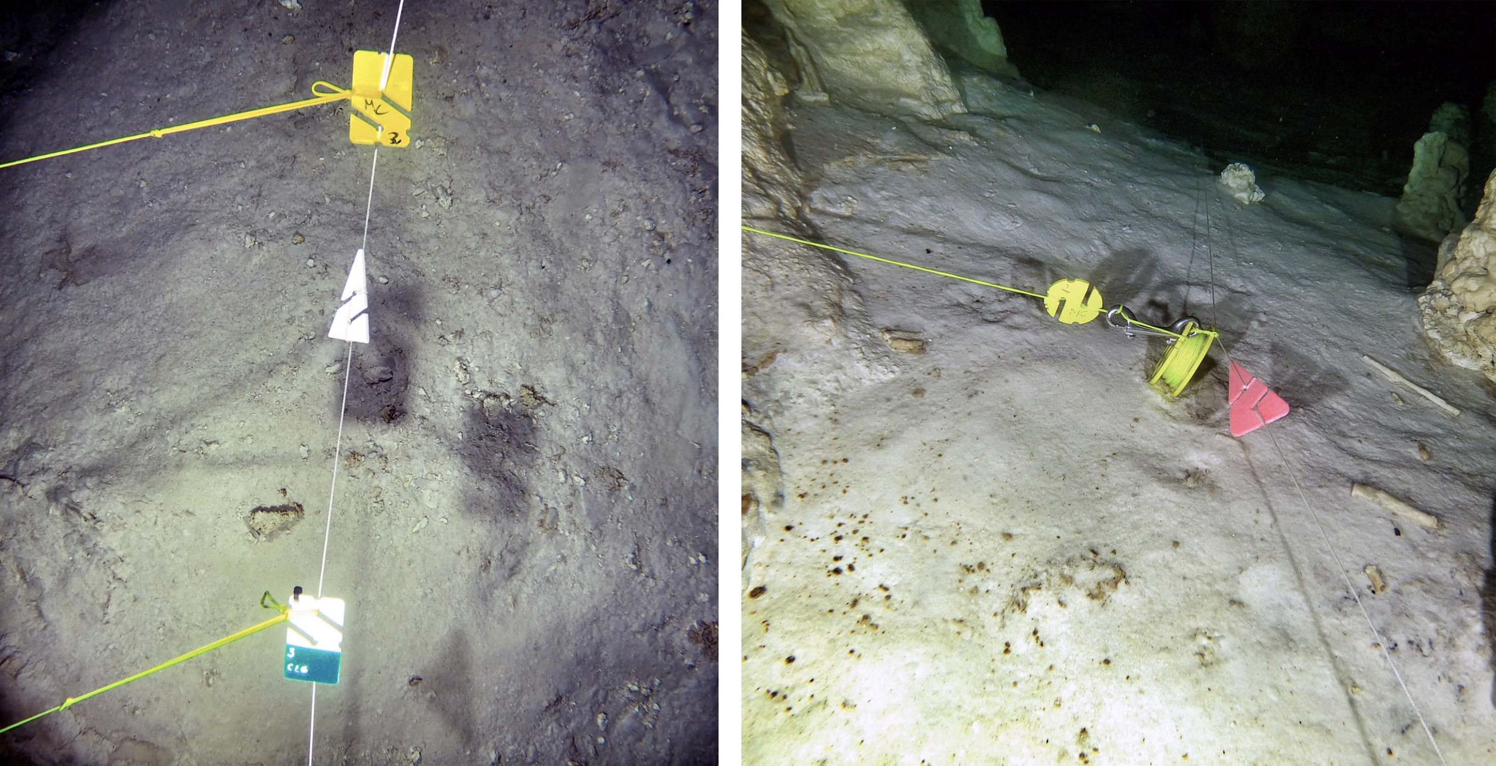 Correct use of primary and secondary reels, line and directional and personal markers, such as arrows, REM and cookies, are critical skills for safety and navigation in cave diving 