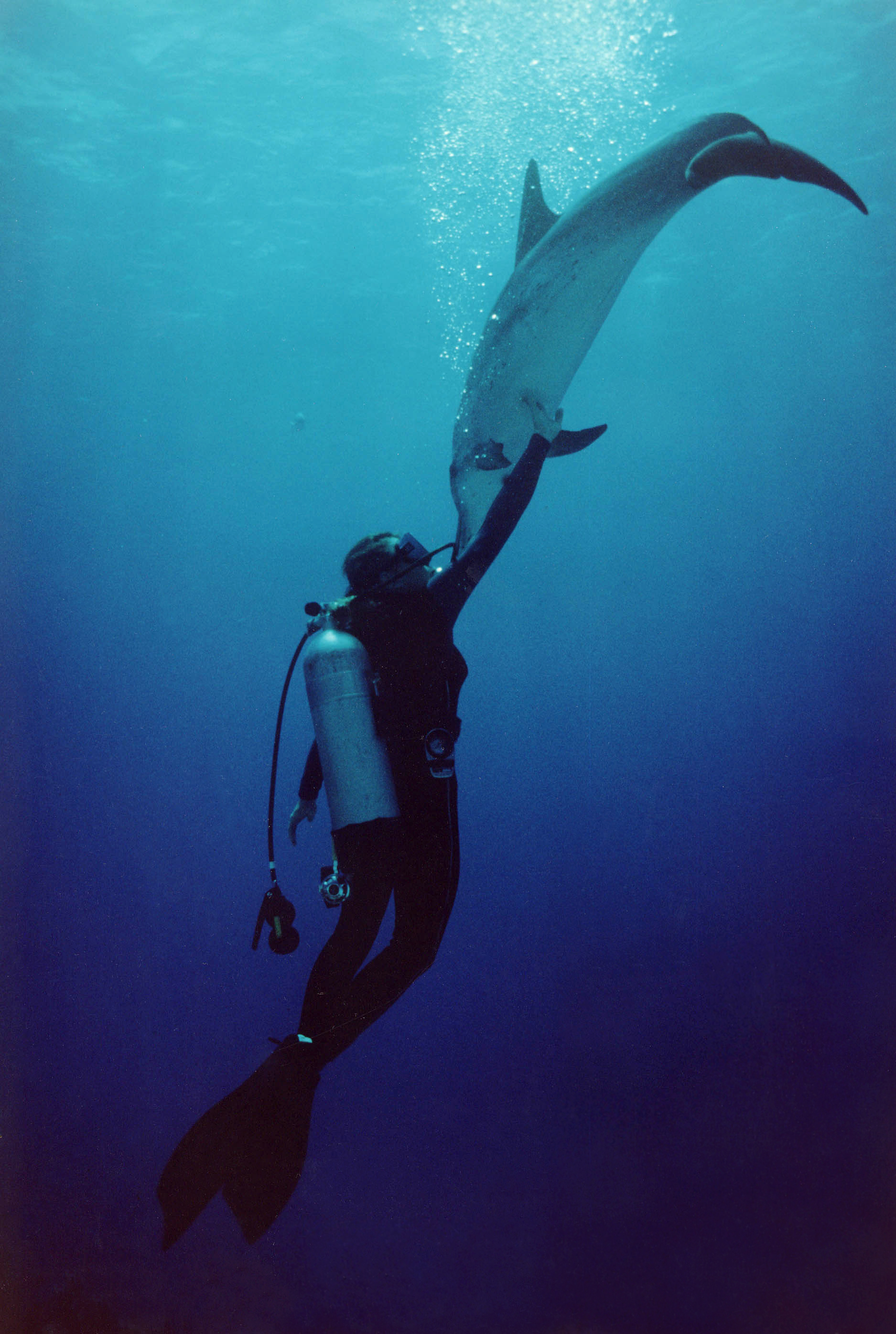 Sylvia Earle with Dolphin