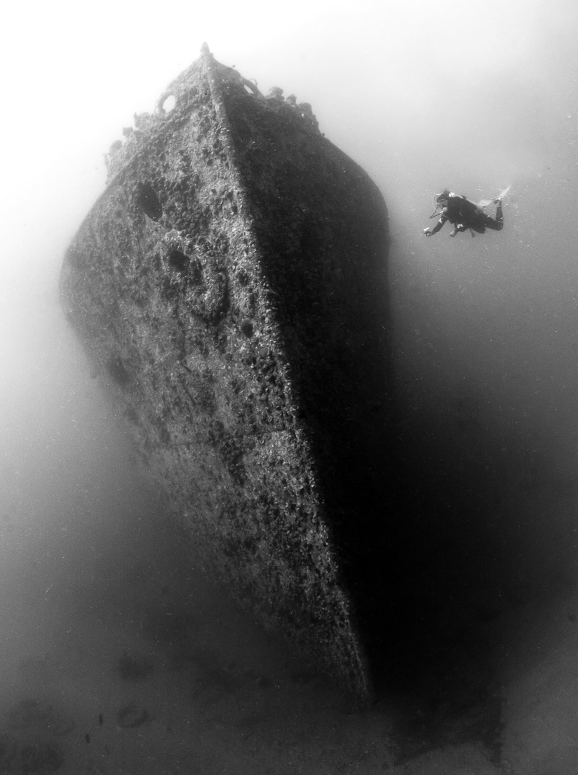 Diver is dwarfed by SS Turkia, Gulf of Suez, Egypt. Photo by Rudolf Gonda.