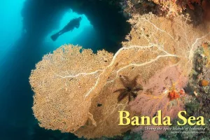 Banda Sea cover images