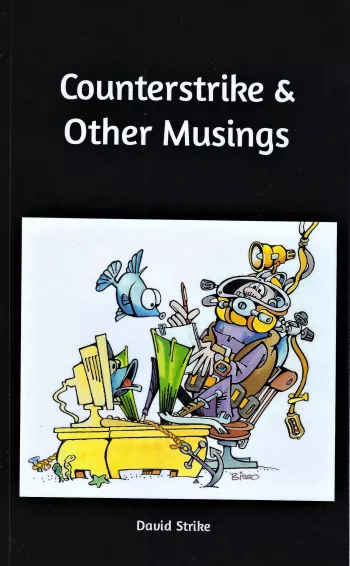Counterstrike & Other Musings cover