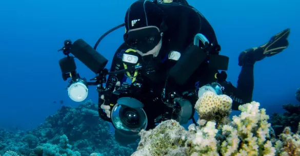 Underwater photographer with camera rig, photo by Kate Jonker