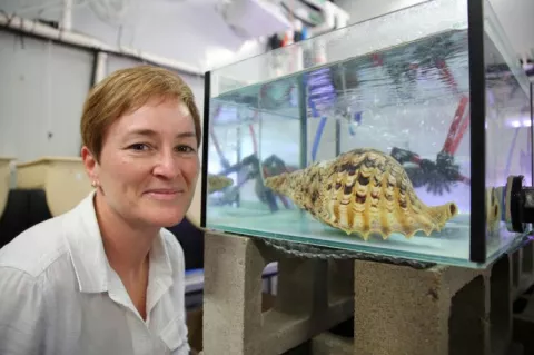 AIMS' Dr Cherie Motti, beside a tank housing a Pacific triton sea snail.