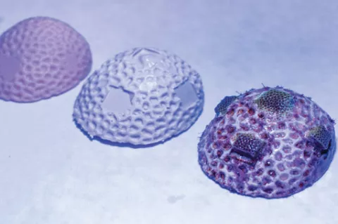 Scientists are 3D printing calcium carbonate surfaces that corals can grow on.