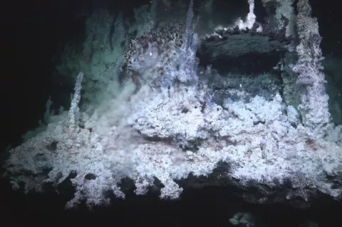 Striking Hydrothermal vents, chimneys, and mirror pools, with large population of tubeworms in the JaichaMaa' ja' ag vent field.