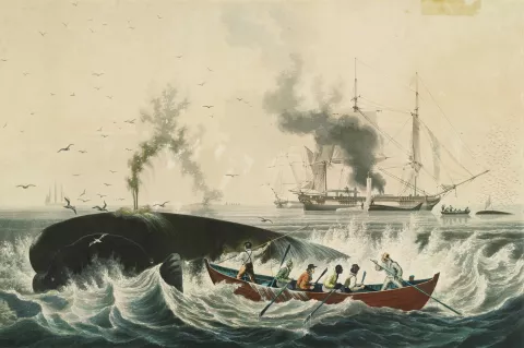 South Sea Whale Fishery, lithographic print published 1835