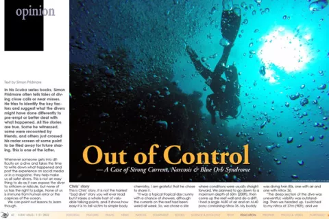 Screenshot of article cover