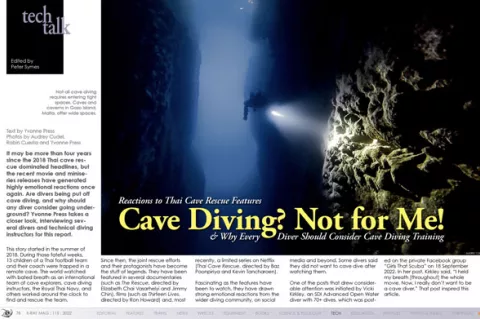 Screenshot of article cover