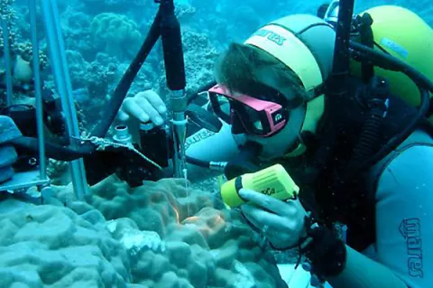 Miriam Weber measures the oxygen concentration 