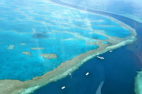Great Barrier Reef at the Whitsunday Islands, Australia.