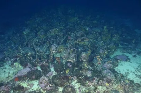 One of the three shipwrecks found in Tunisia's Skerki Bank during a 2022 expedition