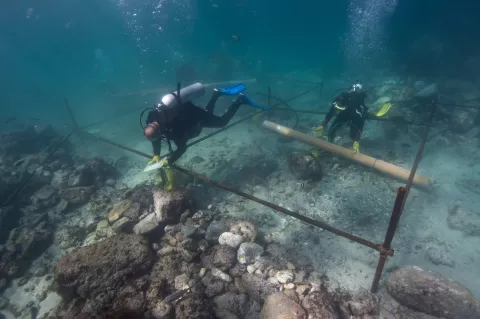 Portuguese ship wrecked on a remote island in the Sultanate of Oman in 1503 is the earliest ship of discovery to be found and scientifically investigated by archaeologists 