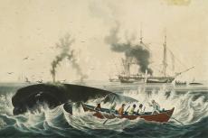 South Sea Whale Fishery, lithographic print published 1835