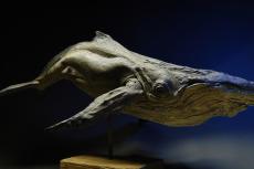 Humpback Whale, driftwood sculpture by Tony Fredriksson