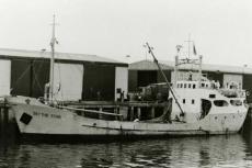 The coastal freighter MV Blythe Star capsized off the coast of south-west Tasmania in October 1973.