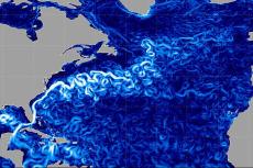 The Gulf stream current and its speed