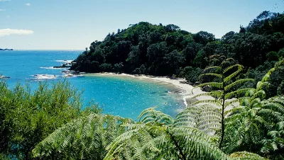 North Island, New Zealand. Photo by Barb Roy
