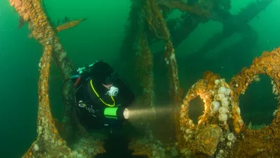 Diver on Hispania wreck, Sound of Mull and Oban, Scotland, UK. Photo by Steve Jones