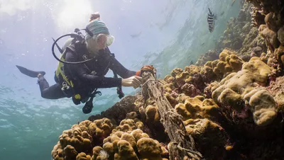 Saving the reefs in Seychelles