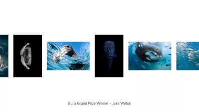 Guru Grand Prize Winner Jake Wilton