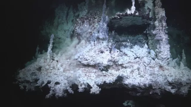 Striking Hydrothermal vents, chimneys, and mirror pools, with large population of tubeworms in the JaichaMaa' ja' ag vent field.