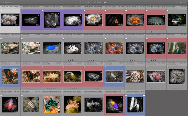 Screenshot 1. Collection feature in Lightroom