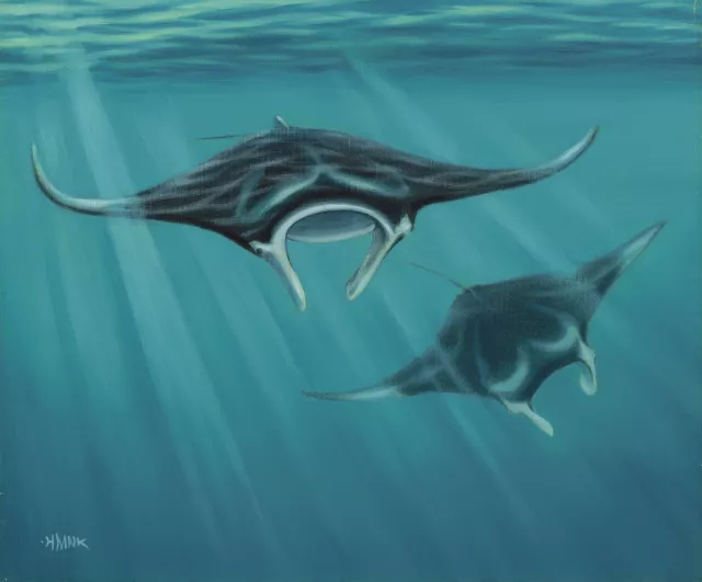 Dive, manta rays, 83 x 45.5cm, oil on canvas by Setsuo Hamanaka