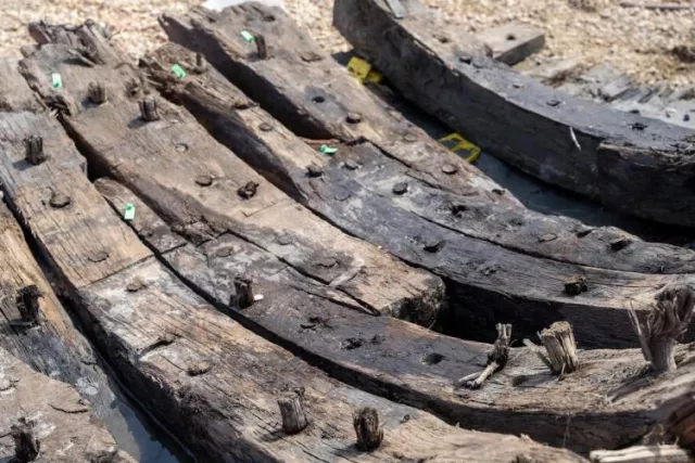 Detail of a rare Elizabethan ship found at a quarry in Kent