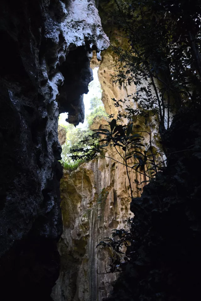 Inside Grotte du Diable, Lifou, New Caledonia. Photo by Pierre Constant