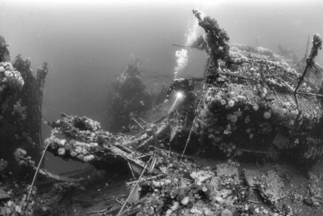 Diver on wreck