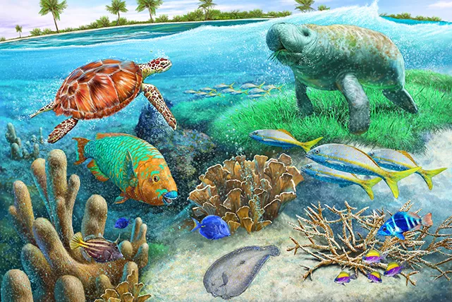 Ecosystem of the Coral Atoll, by Rudolf Farkas. Digital illustration, 210 x 297mm, 300dpi