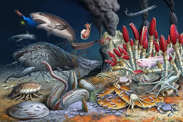 Ecosystem of the Deep Sea, by Rudolf Farkas. Digital illustration, 210 x 297mm, 300dpi 