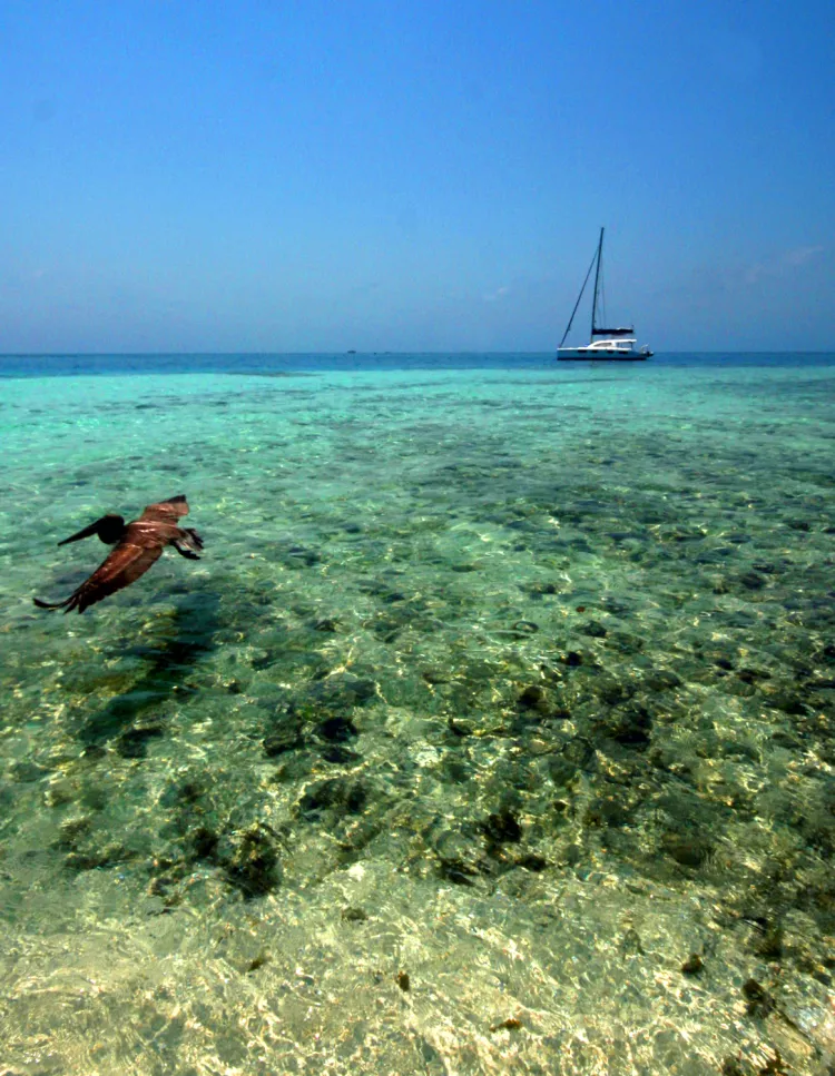 Silk Cayes- Pelican flies by sailboat