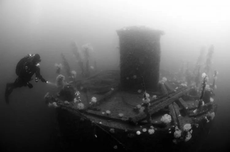 Diver on SS Breda, Sound of Mull and Oban, Scotland, UK. Photo by Steve Jones